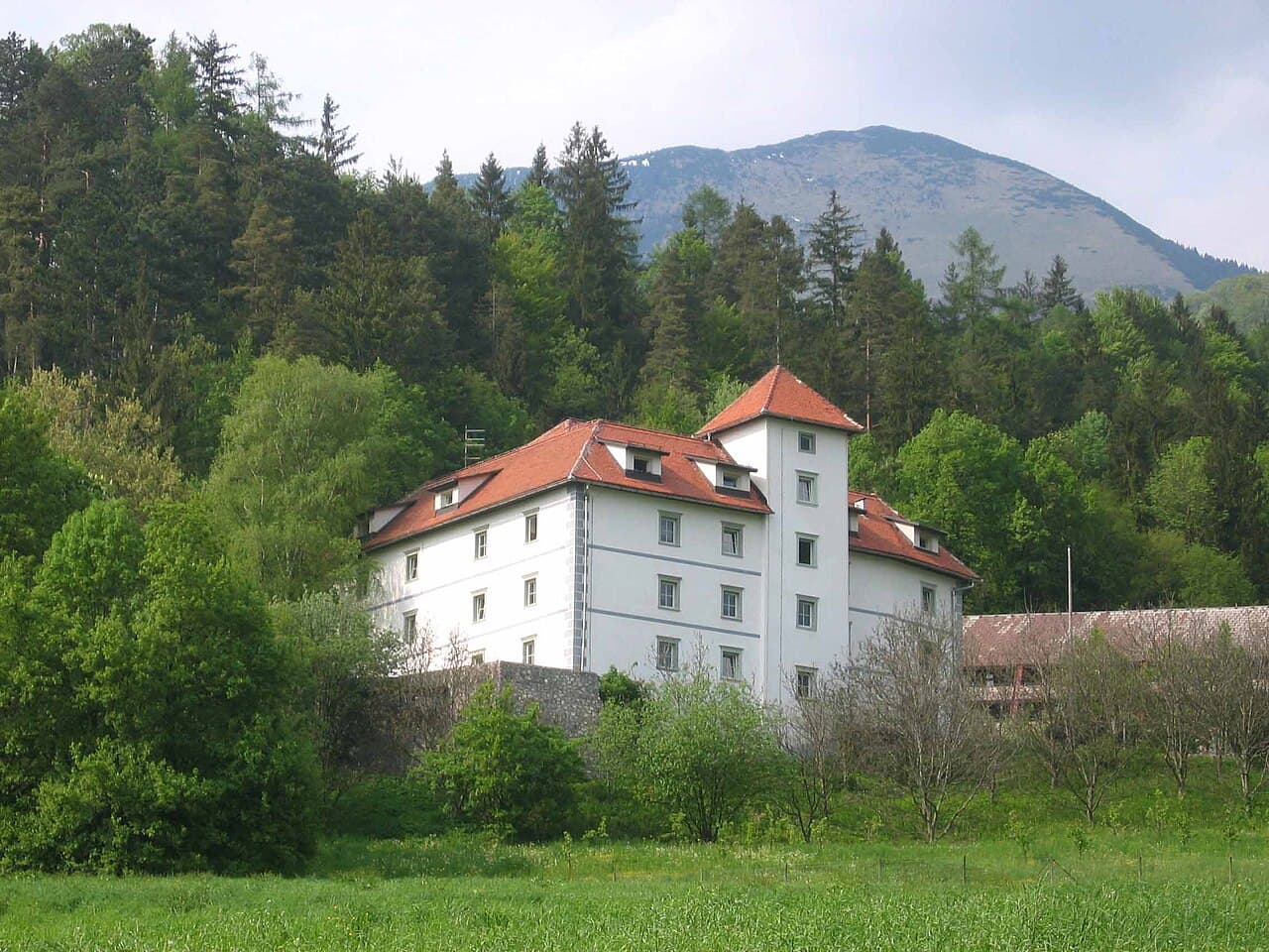 Turn Castle near Preddvor
