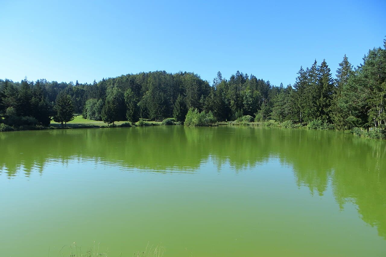 Lake Bloke