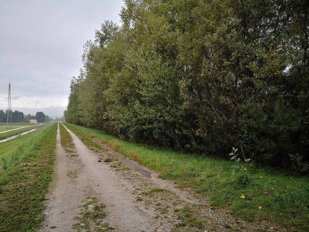 Lake Ptuj