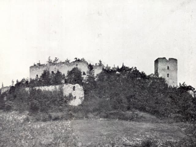Konjice Castle