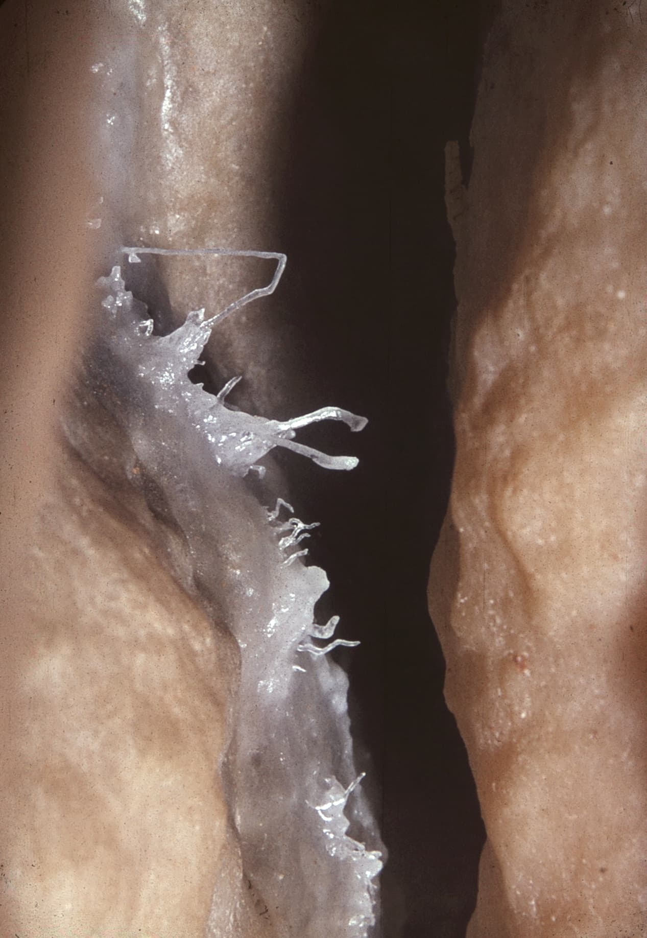 Cross Cave