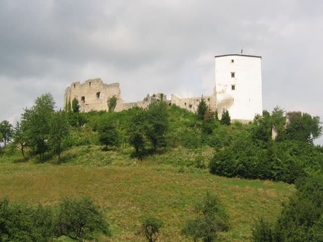 Konjice Castle