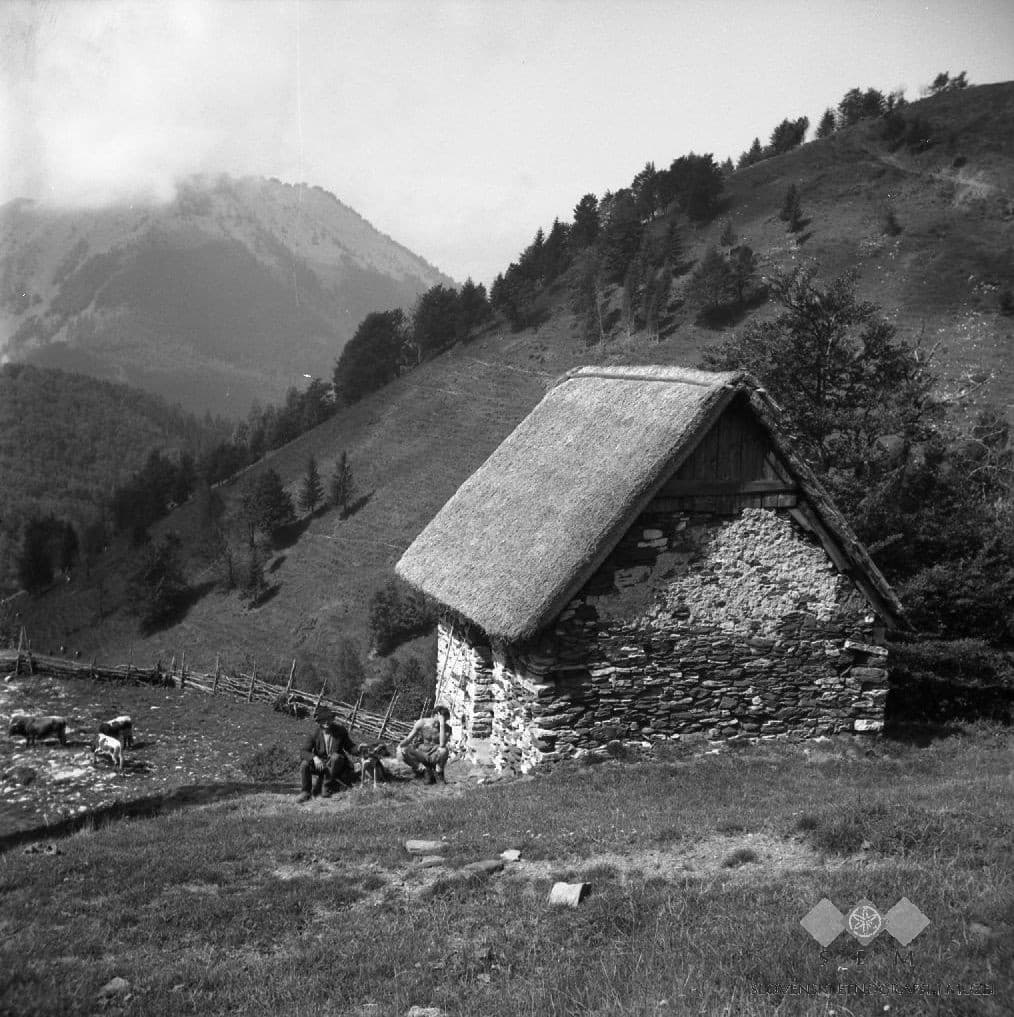 Kojca