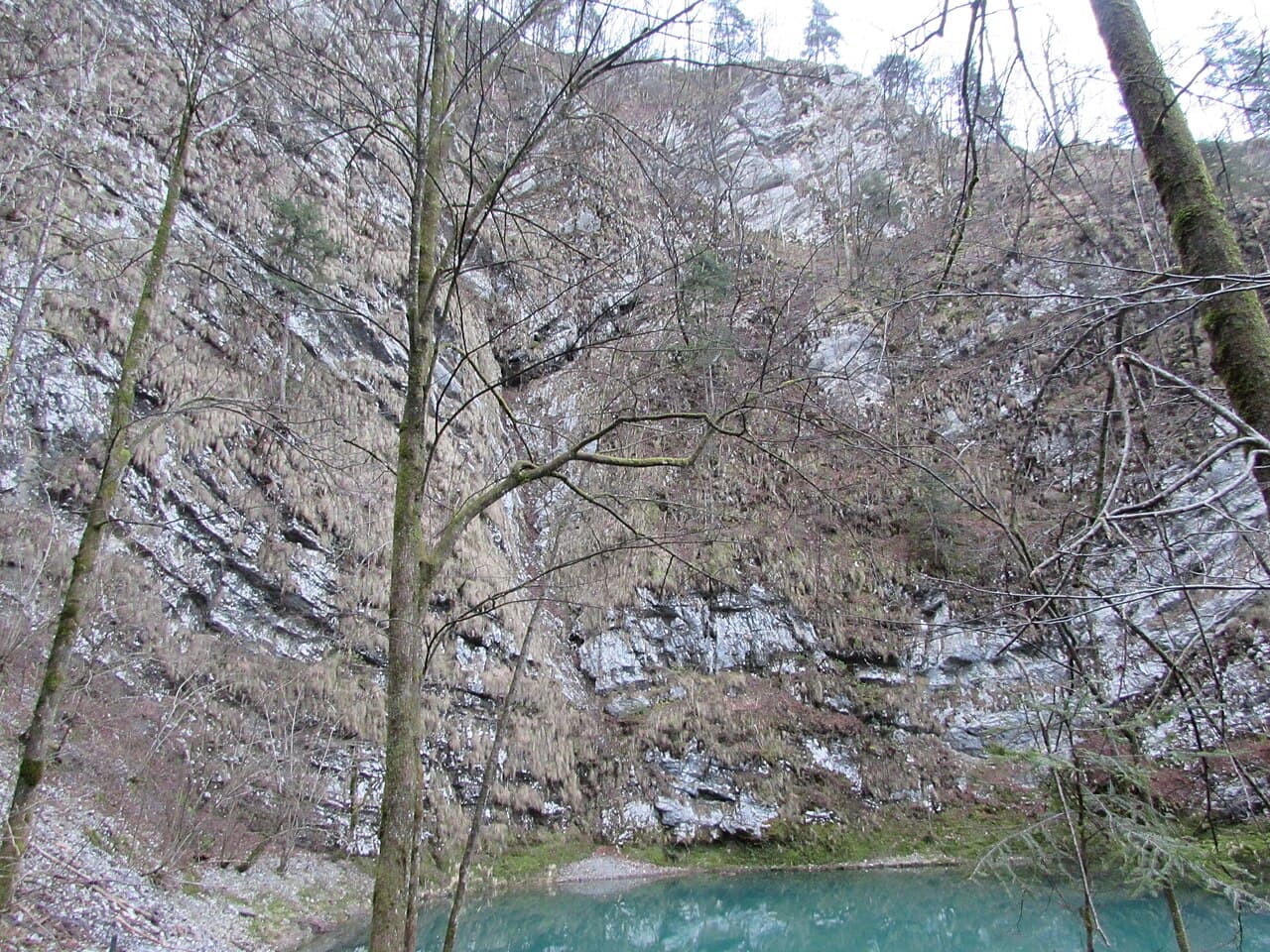 Wild Lake