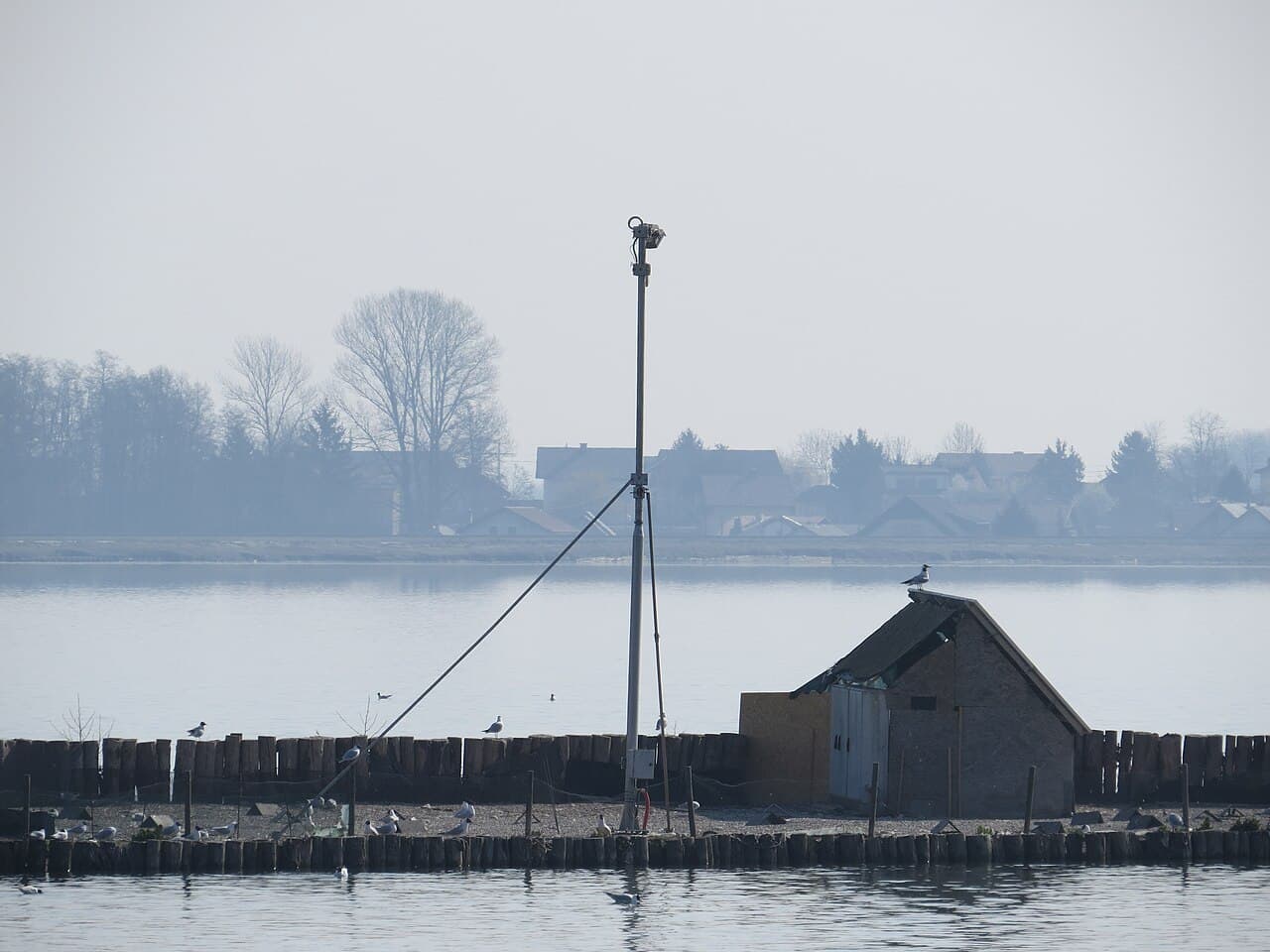 Lake Ptuj