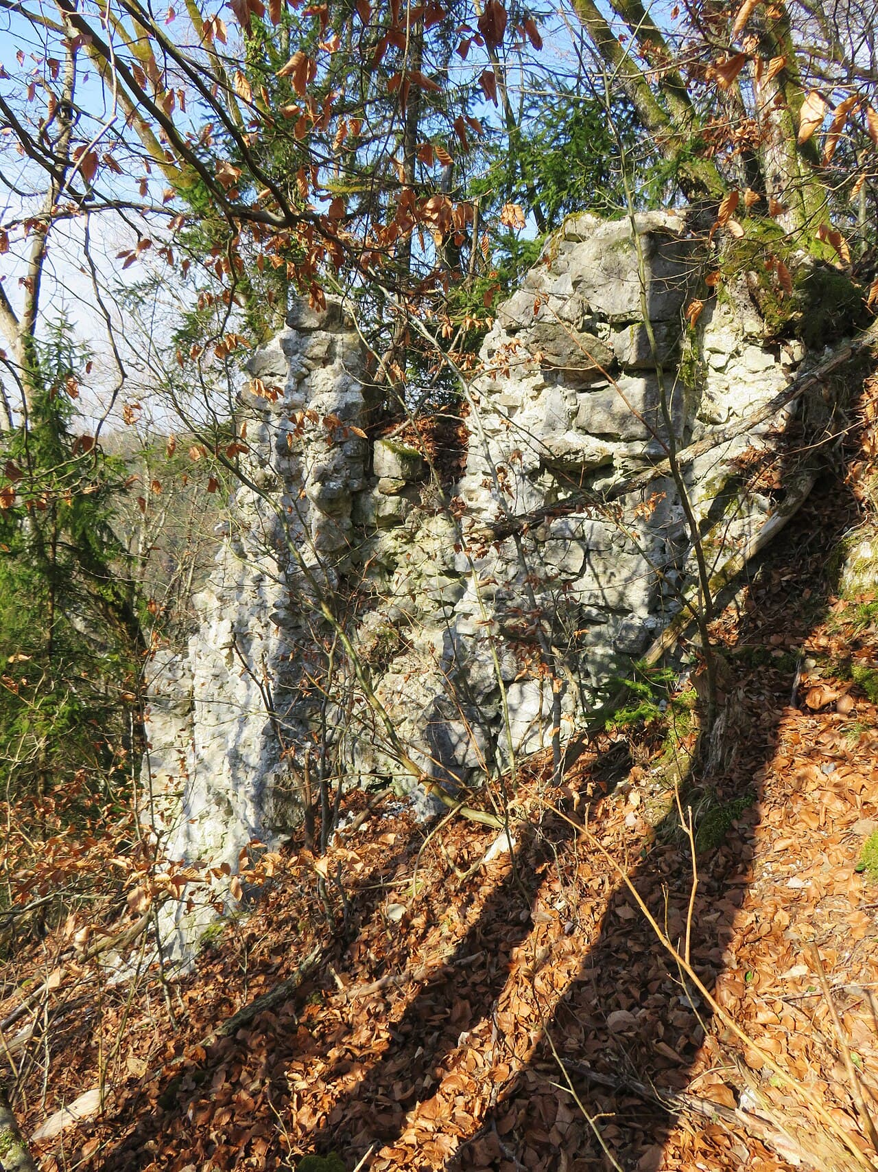 Kolovec Castle