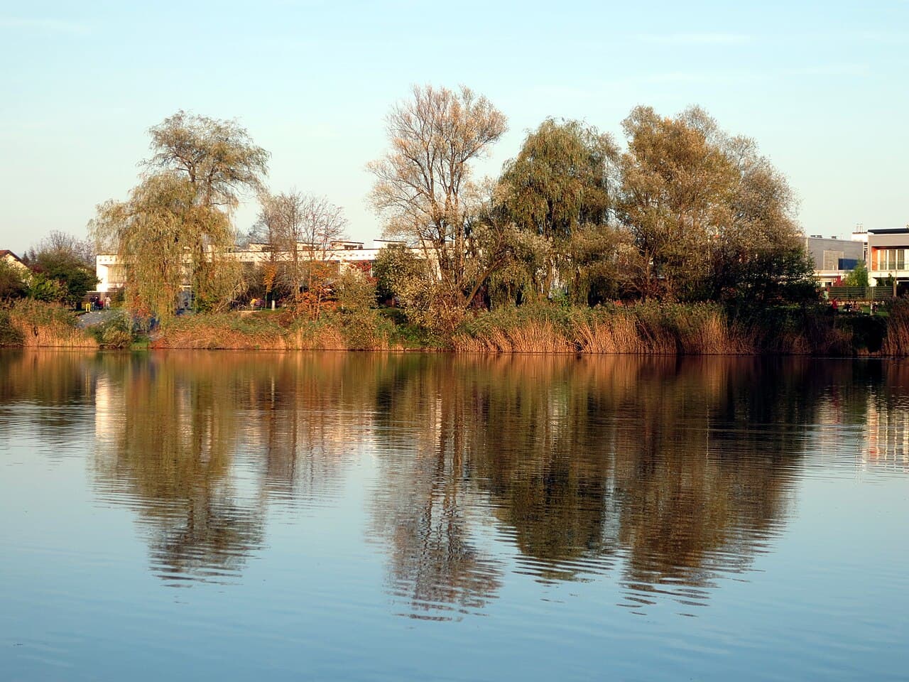 Koseze Pond