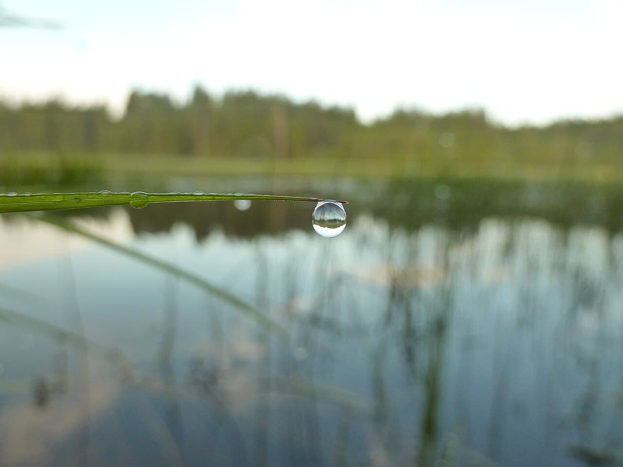 Black Lake