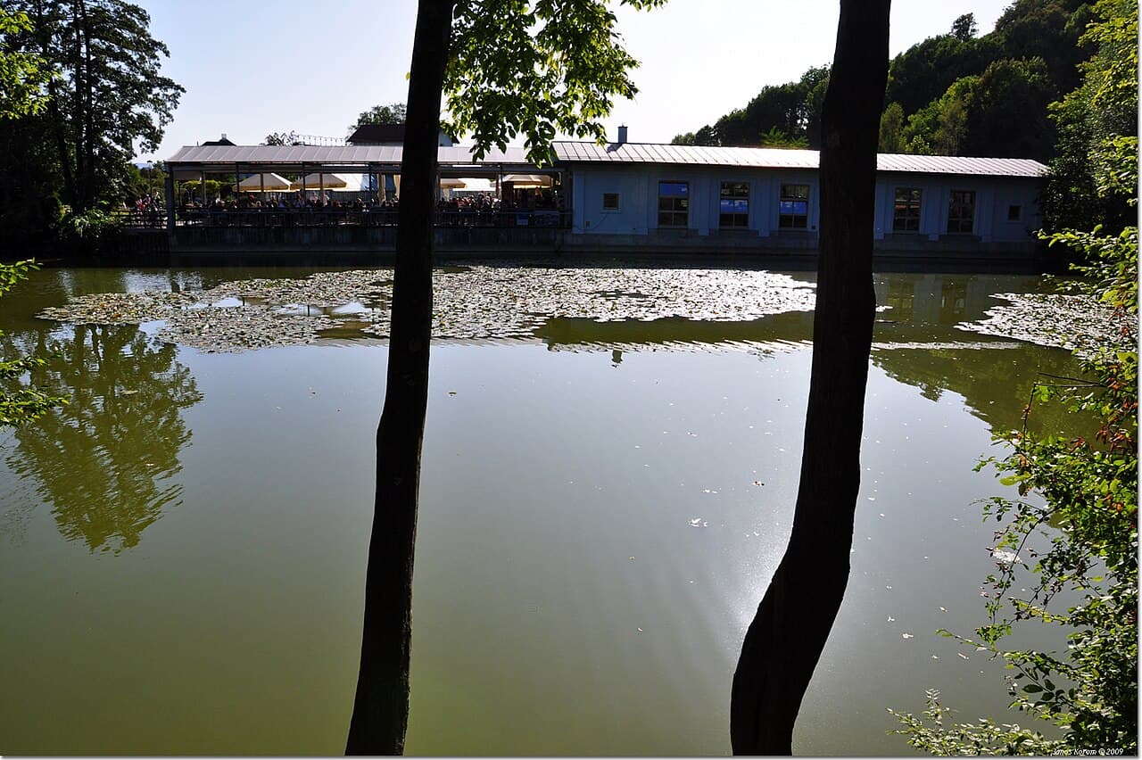 Tivoli Pond