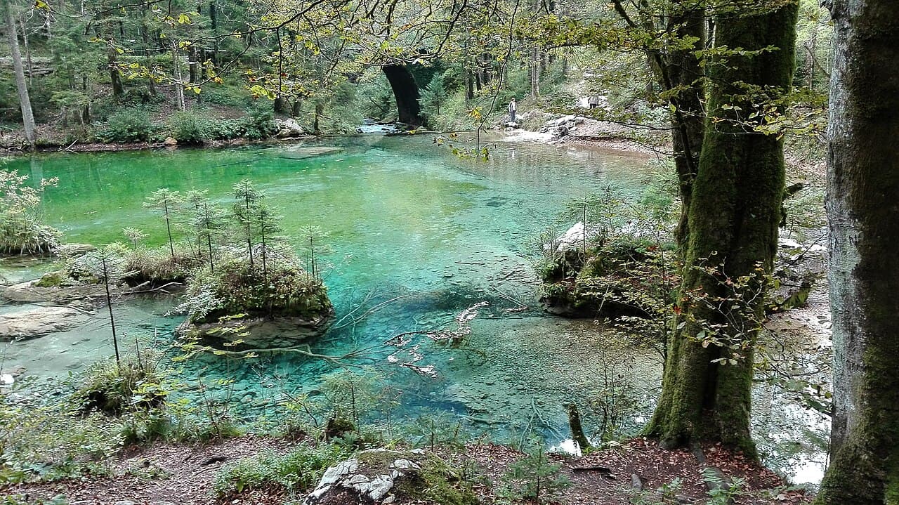 Wild Lake