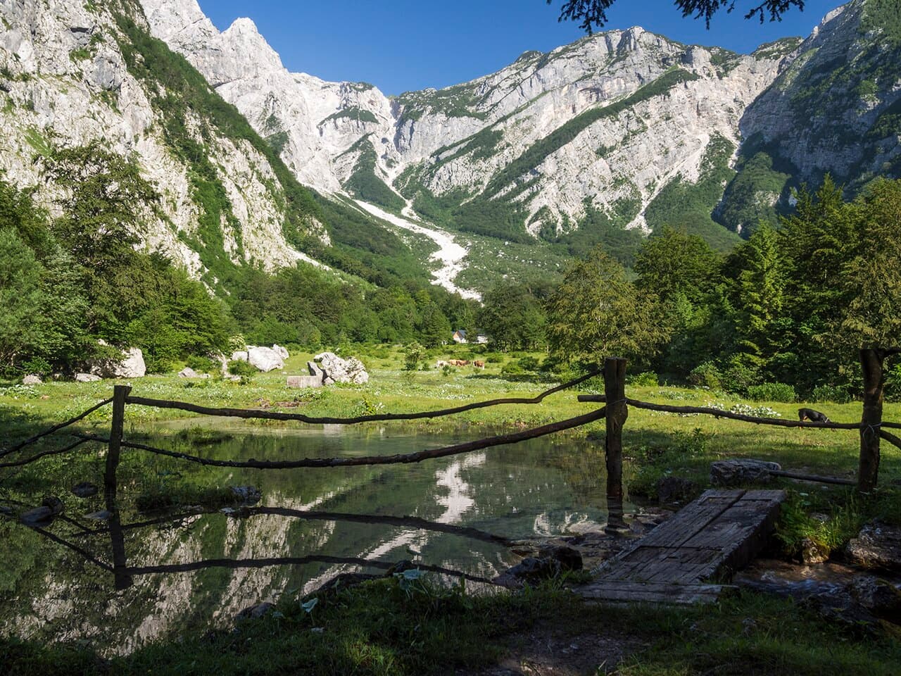 Tolminka