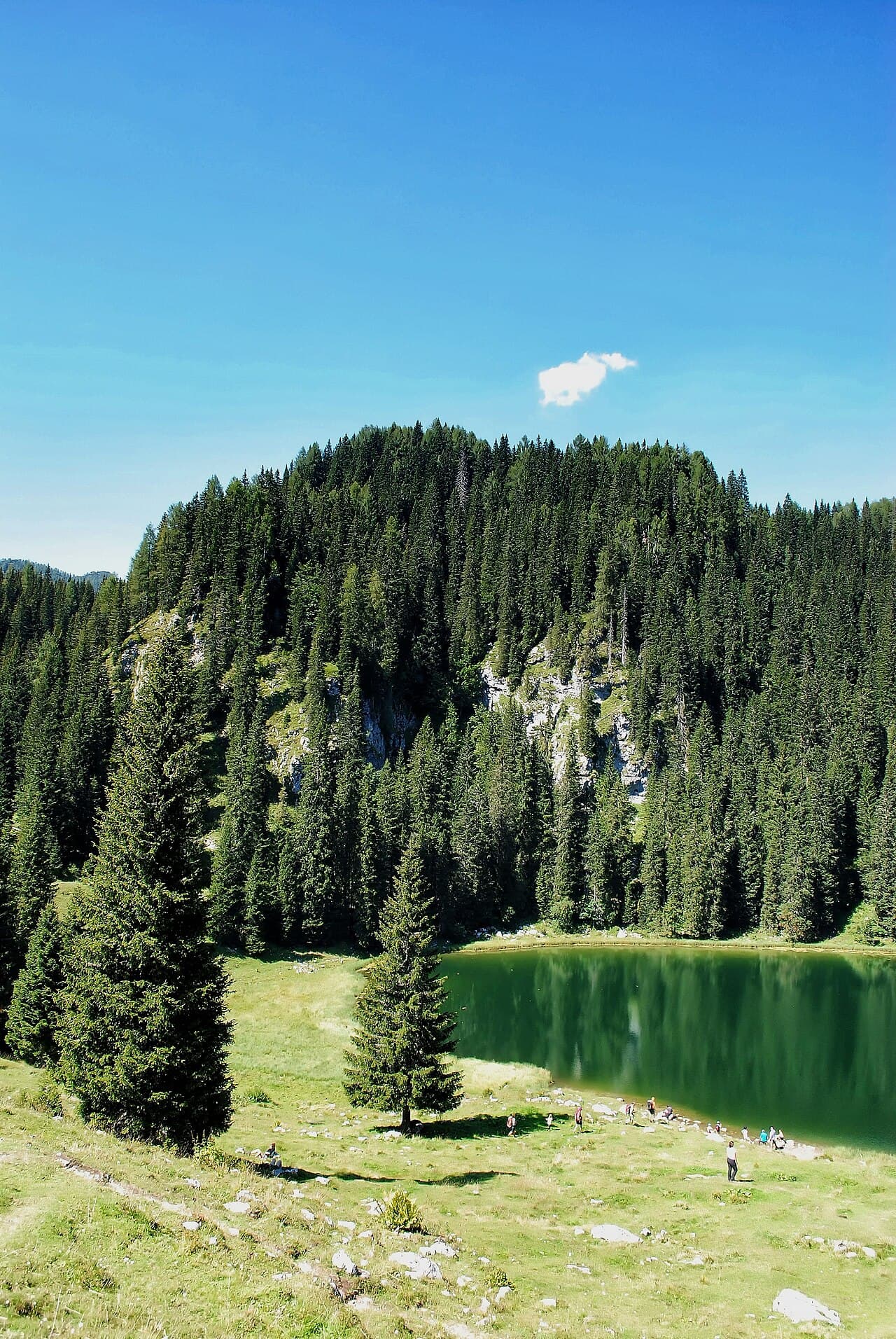 Jezero na Planini pri Jezeru