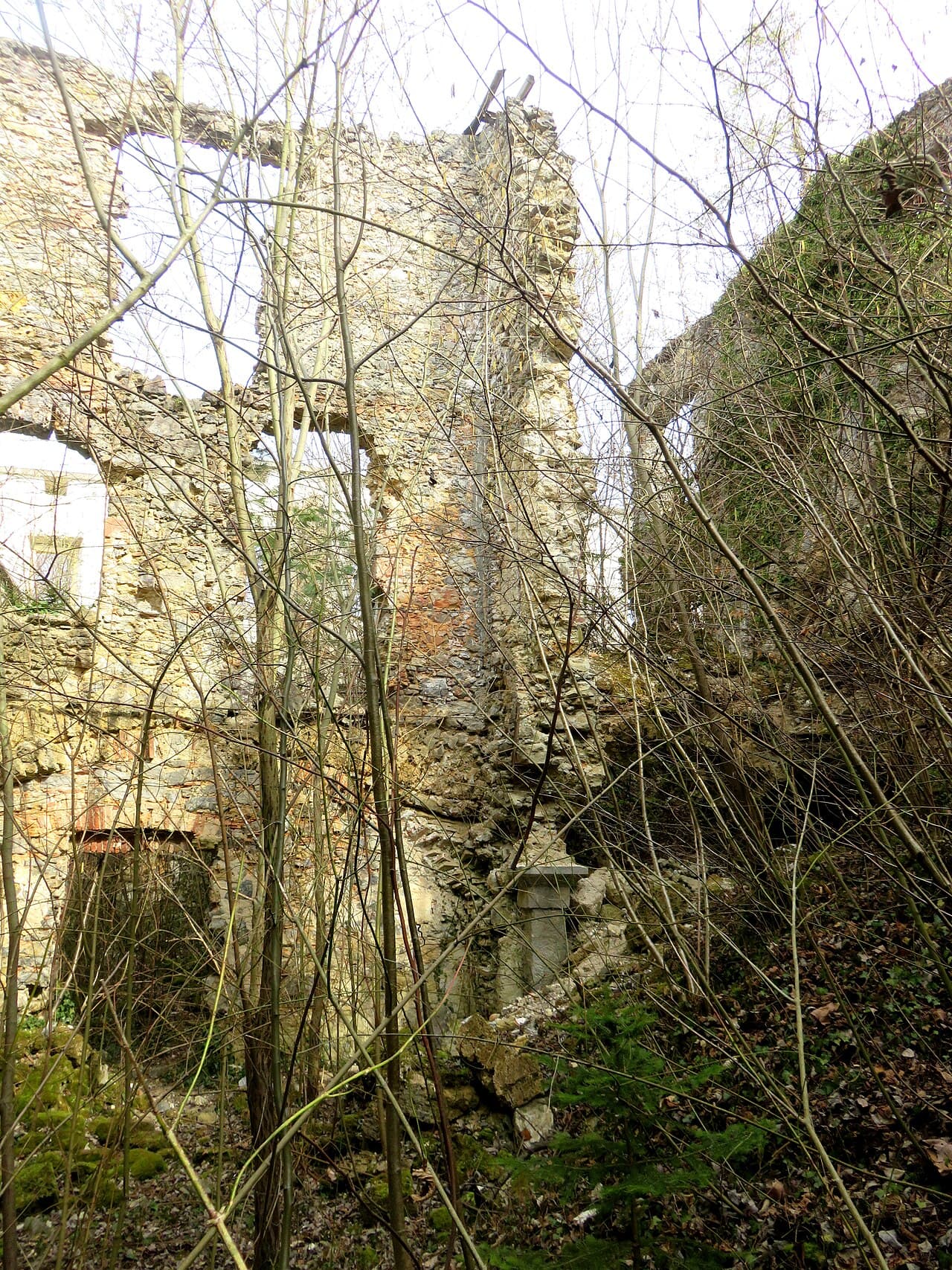 Brdo Castle