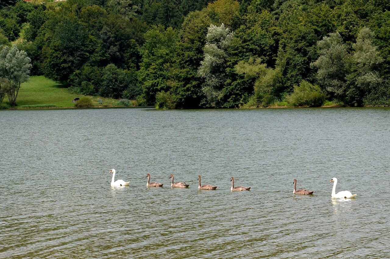 Lake Slivnica