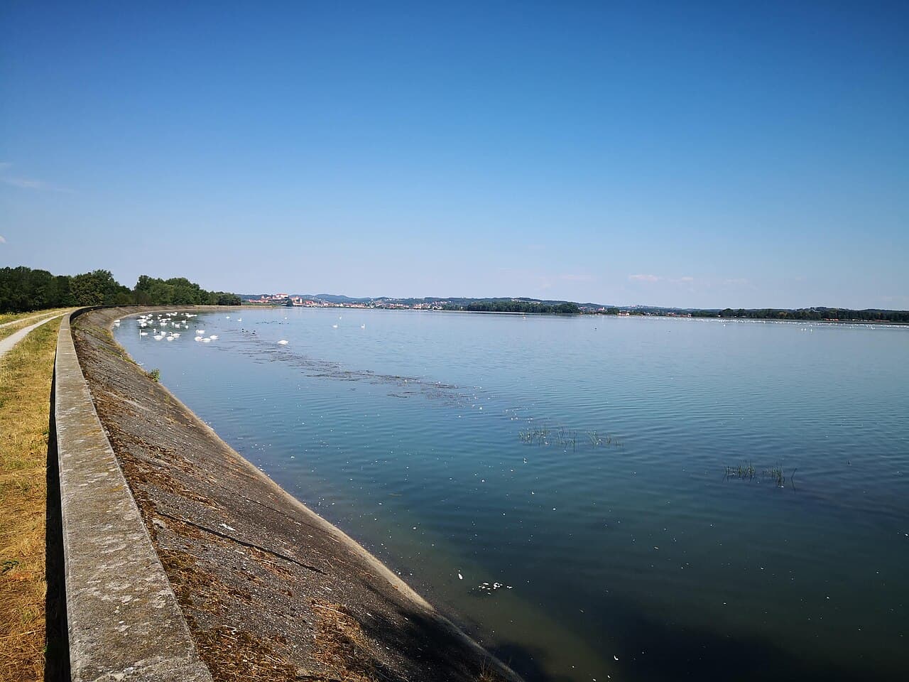 Lake Ptuj