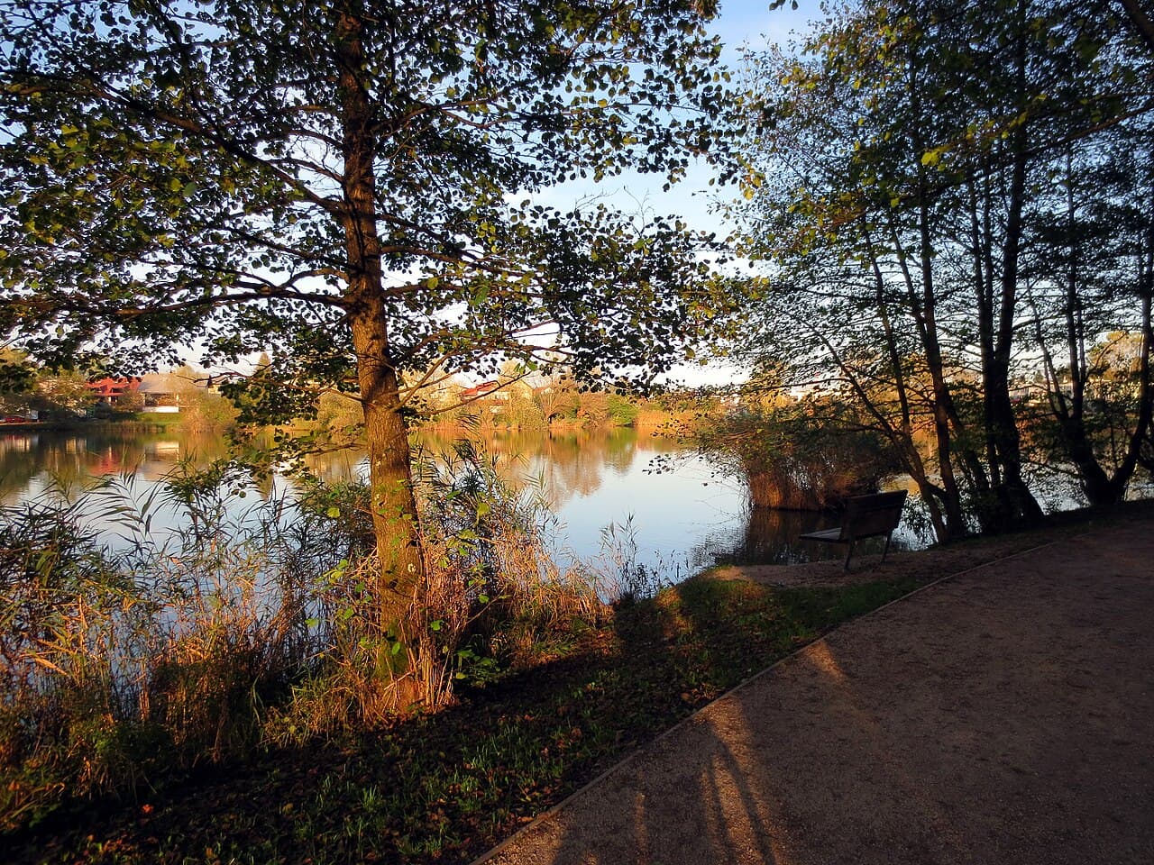 Koseze Pond