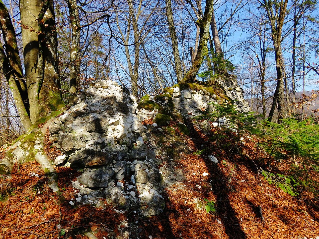 Kolovec Castle