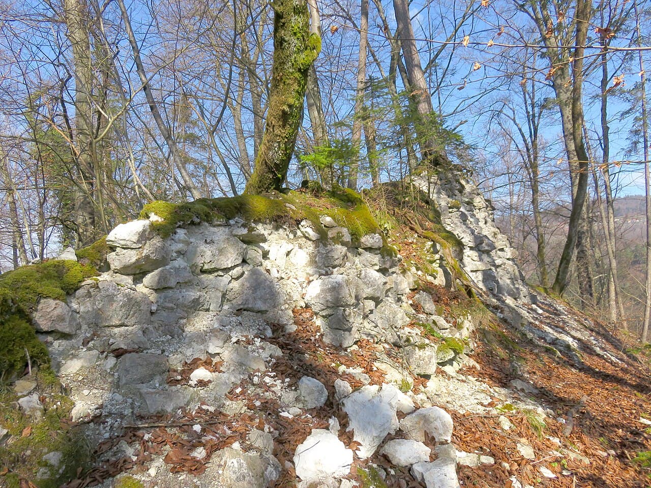 Kolovec Castle