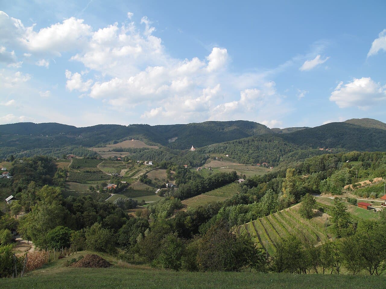 Pišece Castle