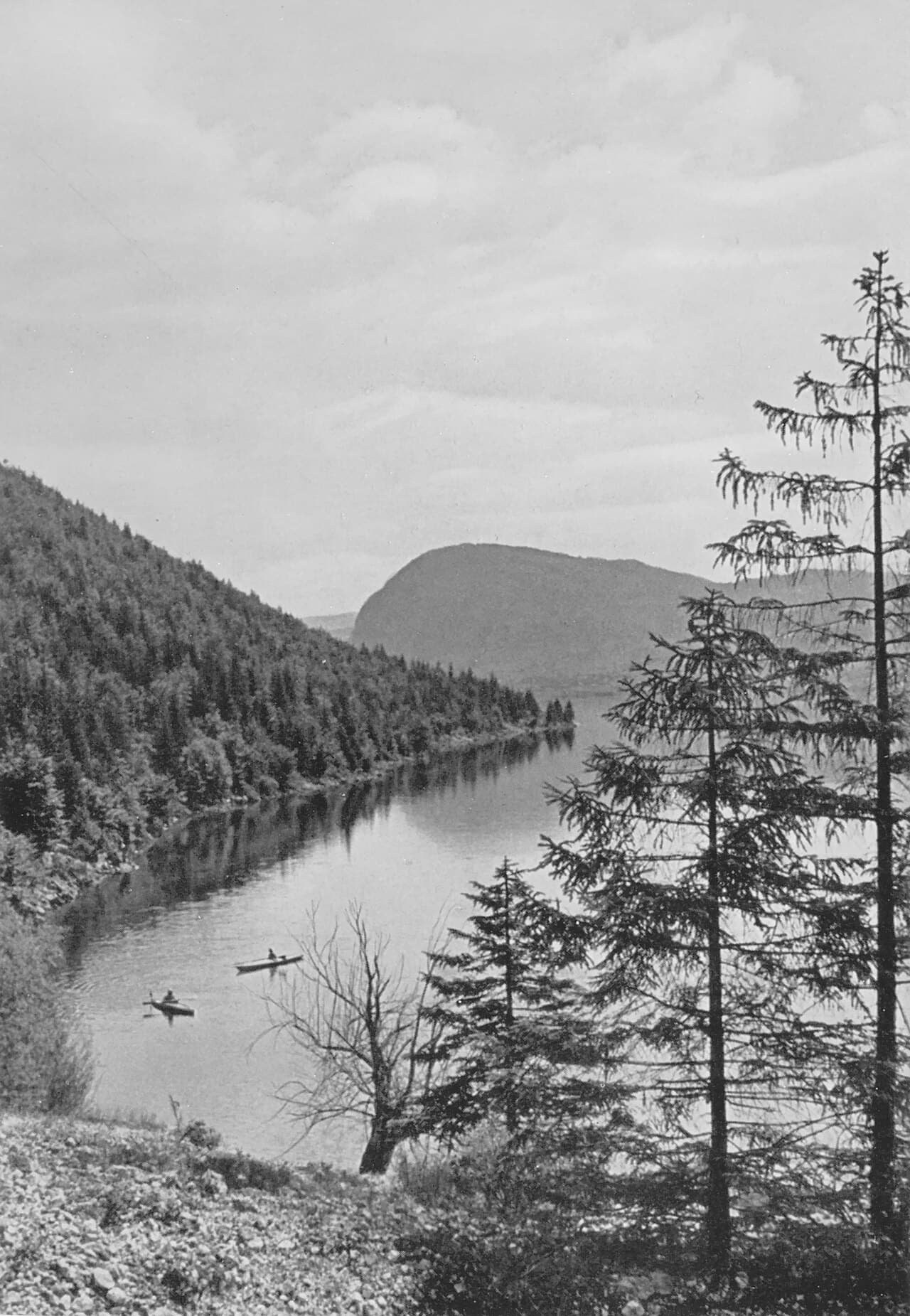 Lake Bohinj