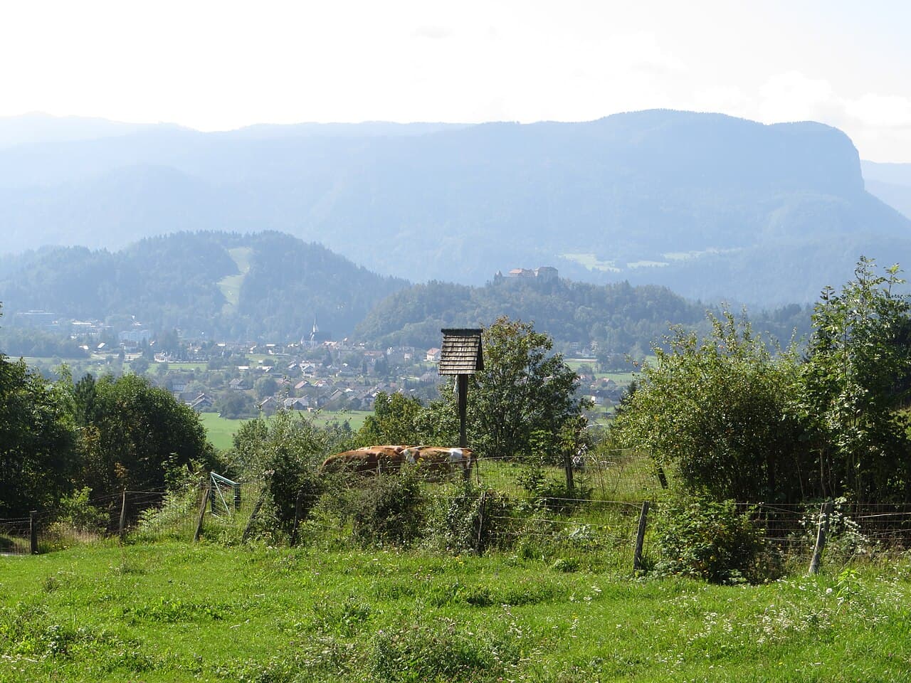 Bled Castle