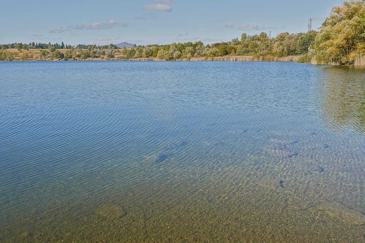 Lake Kočevje