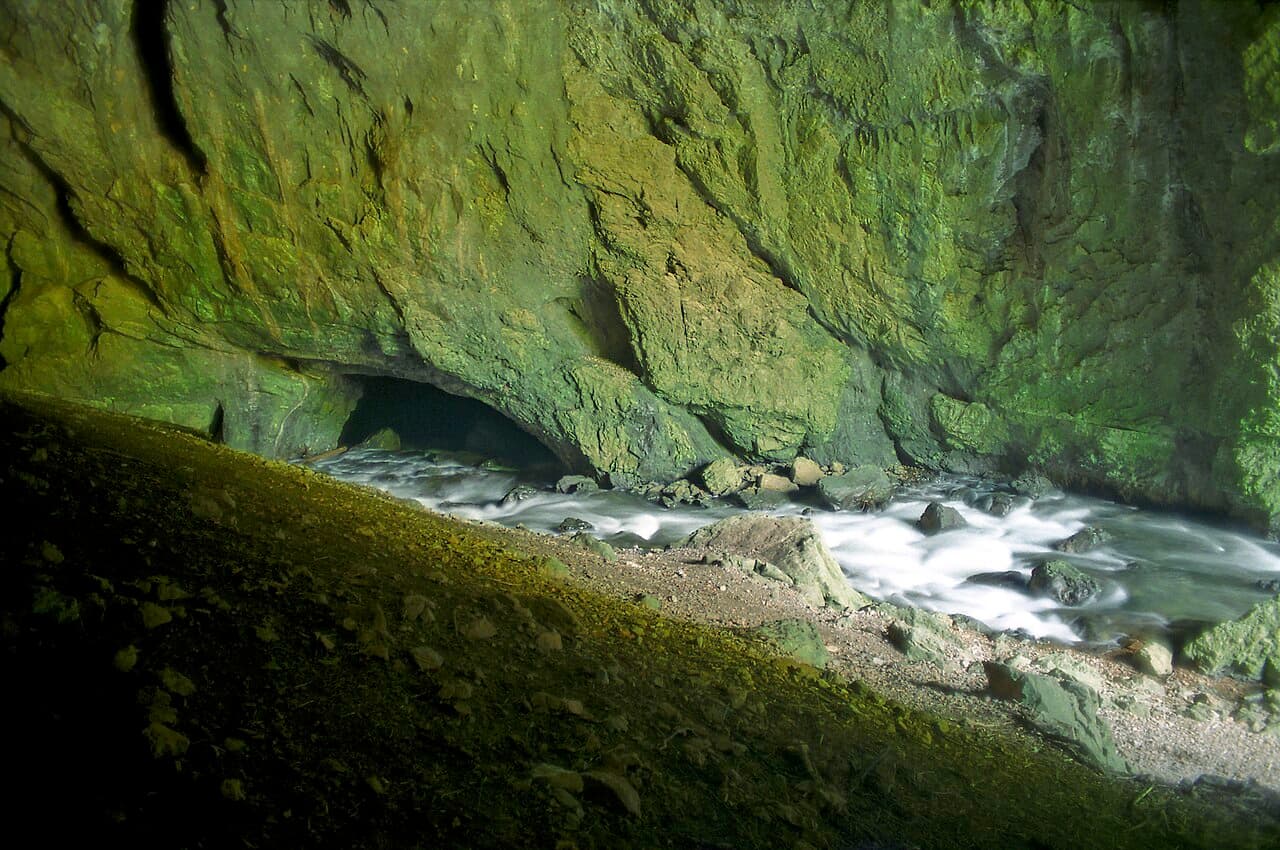 Weaver's Cave